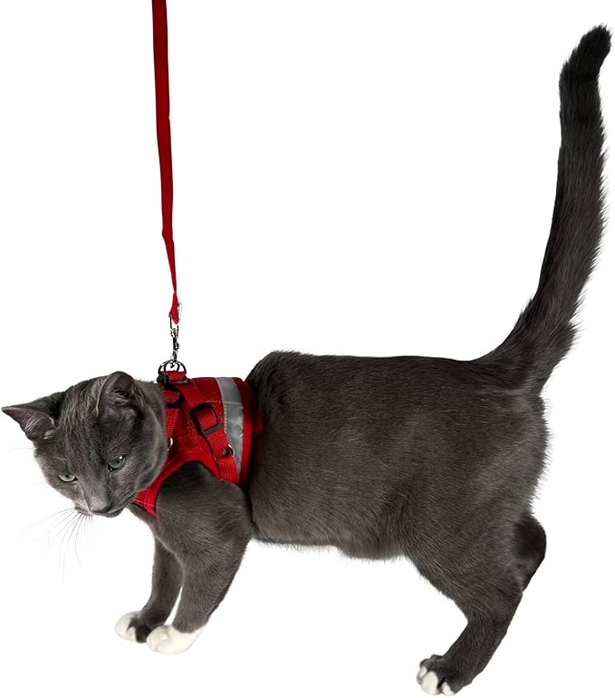 Travel Cat Harness and Leash Set - Adjustable Fit Mesh Cat Harness and Reflective Strap - Comfort Escape Proof Harness for Cats, Kitten for Outdoor Walking, Hiking (Large, Red)
