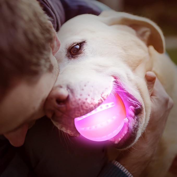 LaRoo LED Dog Balls Rechargeable,Light up Dog Ball Glow in The Dark,Teeth-Cleaning Natural Rubber,Interactive Dog Toys for Small & Medium Dogs,2.5 inches(Purple)