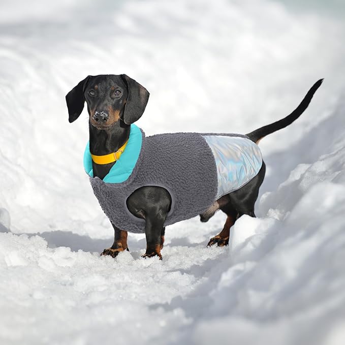 EMUST Dog Feece Jacket, Soft Dog Vest Warm Cold Weather Coats for Small Medium Dogs Boy or Girl for Fall Winter, Grey, L