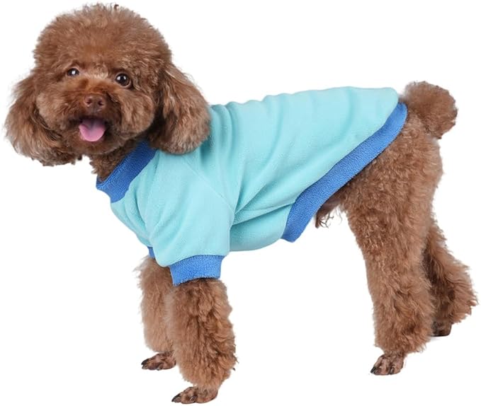 GreenJoy Classic Fleece Dog Sweater – Soft & Warm Stretchy Sweatshirt for Small Dogs & Cats, Cold-Weather Pullover for Everyday Wear (Light Blue, Small)