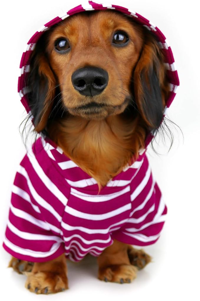 DJANGO Dog Hoodie – Warm, Lightweight, Soft & Stretchy Dog Sweater with Hood, Harness Hole & Elastic Waistband – Cozy Sweatshirt for Small Dogs up to 25 lbs, Dachshunds & Puppies – Boysenberry, XS