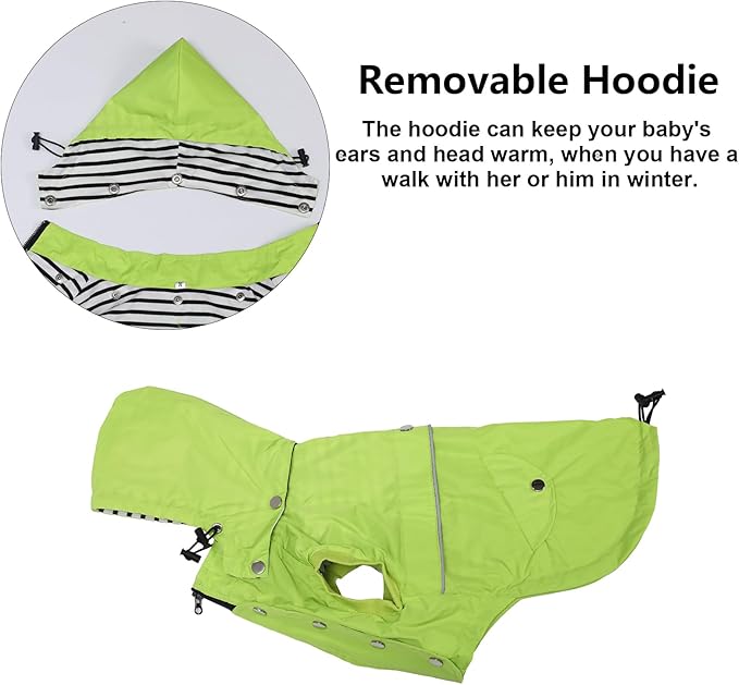 Dog Raincoat Waterproof Raincoats Dog rain Jacket Buttons Zipper Hood Drawstring Suitable for Small Medium Yorkie Terrier Schnauzer Poodle Border Collie Labrador 8lbs to 80lbs Green XL