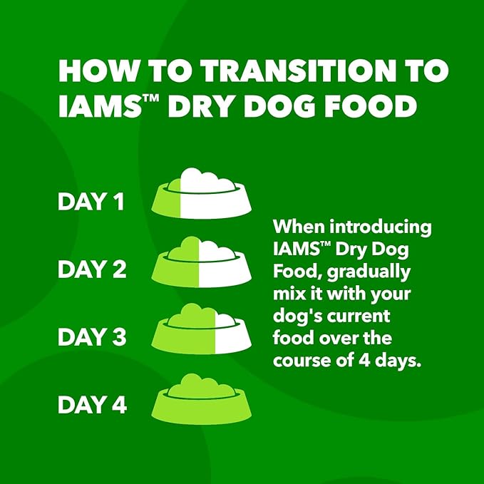 IAMS Proactive Health Minichunks Adult Dry Dog Food with Lamb & Rice, 30 lb. Bag