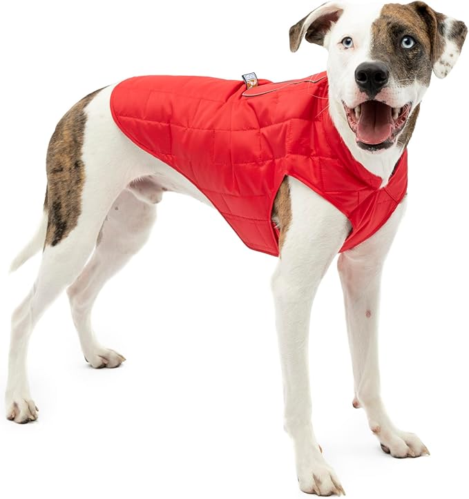 Kurgo Loft Dog Jacket - Reversible Cozy Coat for Outdoor Adventures - Water Resistant - Athletic Fit - Machine Washable Fabric - Reflective Dog Gear - Large - Chili Red