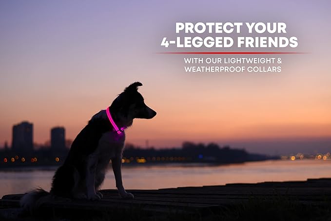 Illumiseen LED Dog Collar USB Rechargeable - Bright & High Visibility Lighted Glow Collar for Pet Night Walking - Weatherproof, in 6 Colors & 6 Sizes (Pink X-Large)