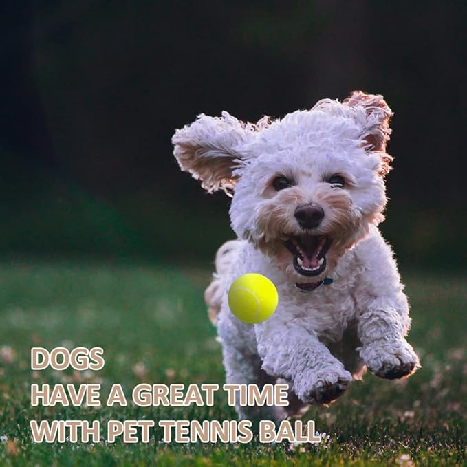 ptlsy Dog Ruber Balls 16 Pack Pet Mini Tennis Ball for Small Medium Dogs Fetching (2 inch)