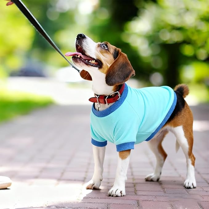 GreenJoy Classic Fleece Dog Sweater – Soft & Warm Stretchy Sweatshirt for Small Dogs & Cats, Cold-Weather Pullover for Everyday Wear (Light Blue, Medium/Large)