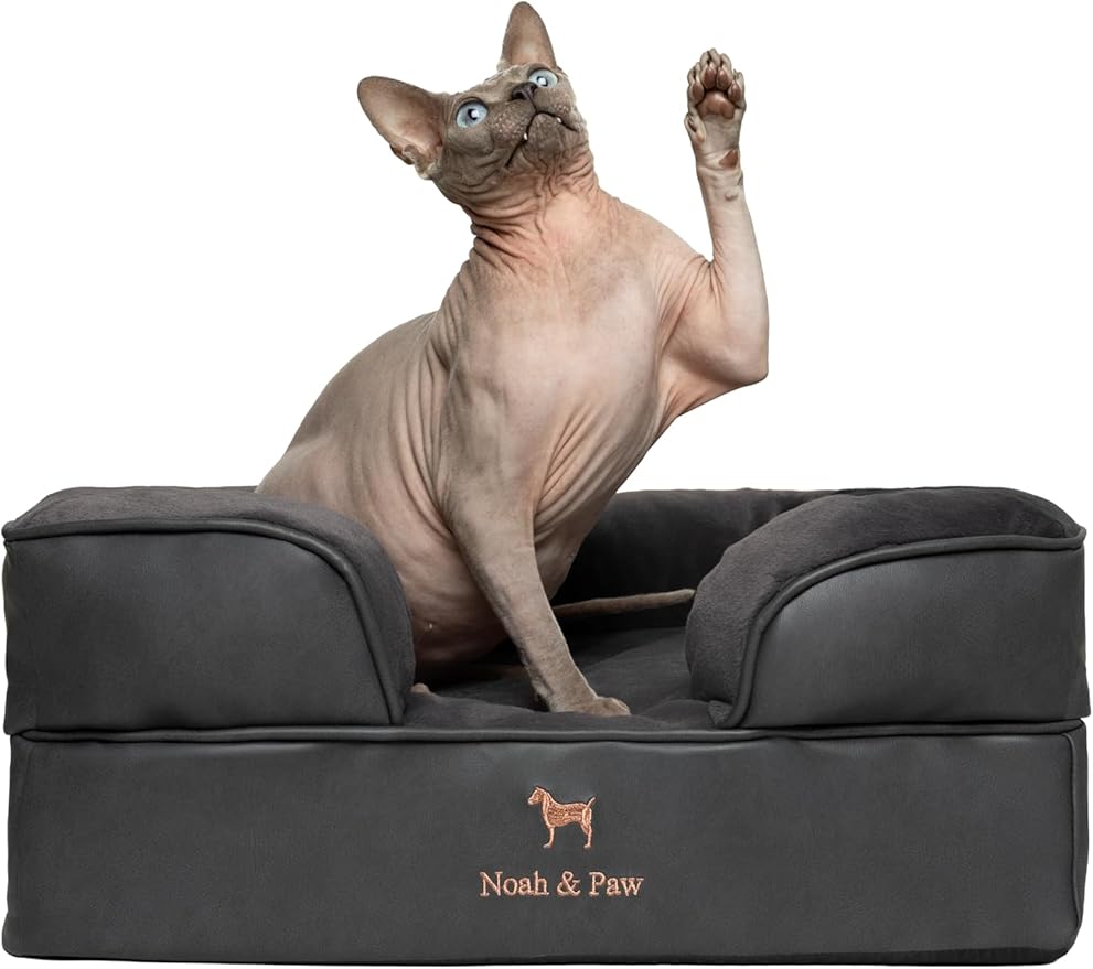 NOAH & PAW Small Dog Bed, 20x15x8 Inch, Cat Bed for Indoor Cats, Orthopedic Eggshell Memory Foam Infused with Cooling Gel, Waterproof Inner Cover Machine Washable (Faux Leather Collection)