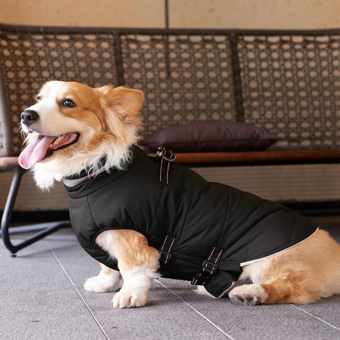 Medium Dog Coat with Harness Built-in, Waterproof Reflective Fleece Lined - Warm Windproof Winter Jacket with Back Zipper, Cold Weather Snow Dog Coats - Black - M