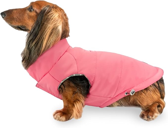 DJANGO Puffer Dog Coat – Warm Winter Dog Jacket & Water-Repellent Insulated Puffer Vest with Striped Lining, Harness Hole, Adjustable Fit for Small & Medium Dogs, Dachshunds – Rose Petal Pink, Small