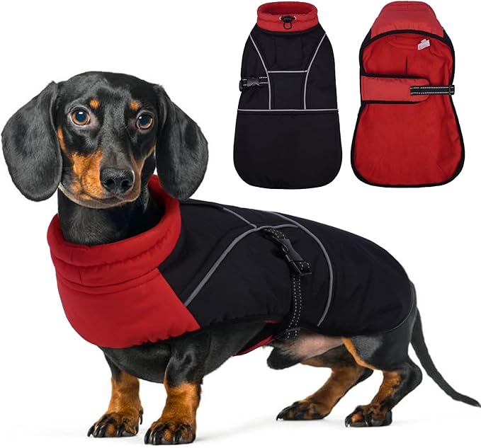 Lelepet Dachshund Coat Warm Dog Winter Coat Waterproof Dog Jacket with Fleece Lining, Reflective Outdoor Dachshund Snowsuit with Leash Hole Adjustable Neckline,Coats for Small Medium Dogs,Red, L
