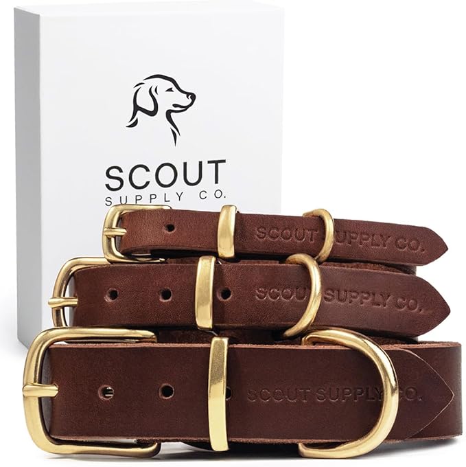 Scout Supply Classic Leather Dog Collar | Heavy Duty Thick Full Grain Leather | Waterproof & Rust-Proof Brass Hardware (Dark Brown, Large)