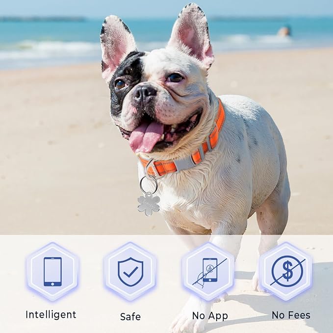 Dog Tags Personalized for Pets,Dog Name Tags QR Code,No Subscription Fees,Modifiable Pet Online Profile,Stainless Steel,No App Required,for Dogs and Cats Small,Medium,Large(Flower,Regular)