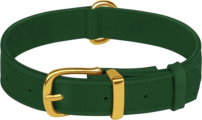 Leather Dog Collar - Heavy Duty Adjustable Soft Padded Pet Collars for Small Medium Large Dogs Breed - Black Green Brown Pink Red Blue (Green, M, 12"-15" Neck Fit)