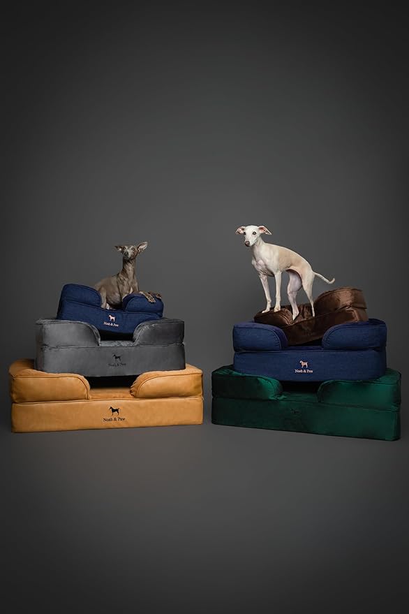 NOAH & PAW Dog Bed, 28x23x7.5 Inch, Orthopedic Dog Beds for Medium Size Pets, Eggshell Memory Foam Infused with Cooling Gel, Waterproof, Machine Washable, Includes Inner Cover (Faux Leather)