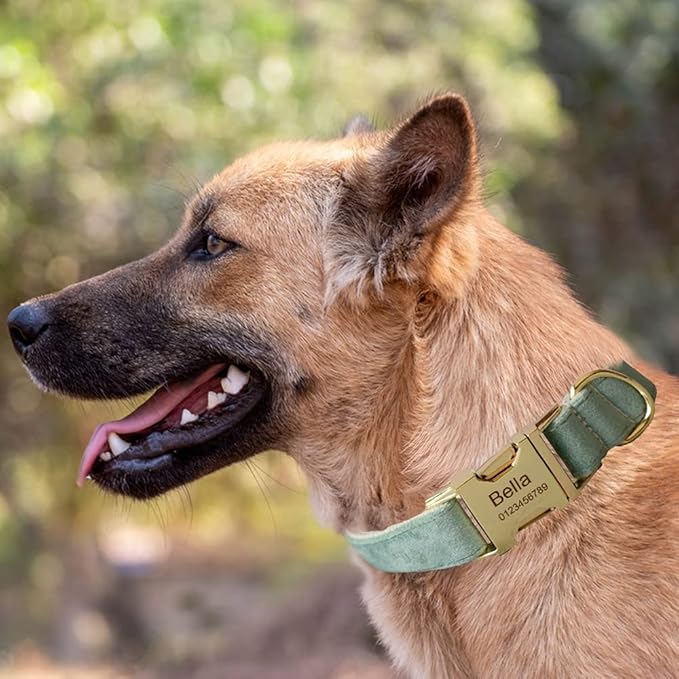 Dog Collar Custom Personalized Engraved Name and Phone Number for Puppy Small Medium Large Pets (L, Fruit Green)