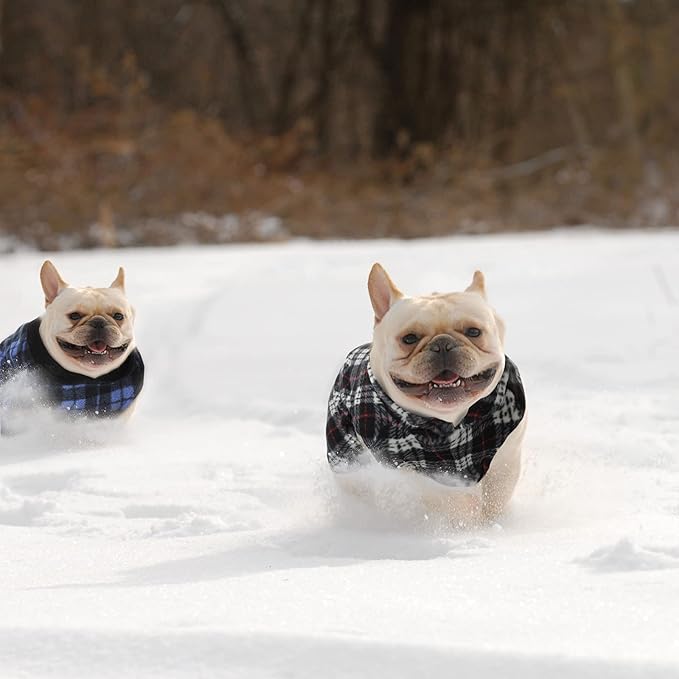 Weewooday 4 Pieces Winter Fabric Dog Sweaters with Leash Ring Soft Fleece Vest Pullover Pet Jacket Warm Dog Clothes Coats for Pet Puppy Cats Chihuahua(M(Neck:11.8-12.6” Chest:16.5-18.5”))