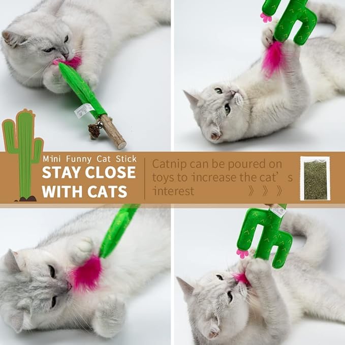 PAZ'S GIFT Catnip Toys - Cat Kick & Rope Toys for Indoor Play, Cat & Kitten Teething Chew Toys for Aggressive Chewing & Teeth Cleaning (Polygonum tinctorium Cactus)