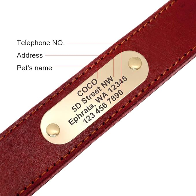 Didog Genuine Leather Dog Collars with Engraved Nameplate, Personalized Soft Leather Dog Collar with Custom ID Tag, Brown/Green/Red for Small Dogs (S,Red)