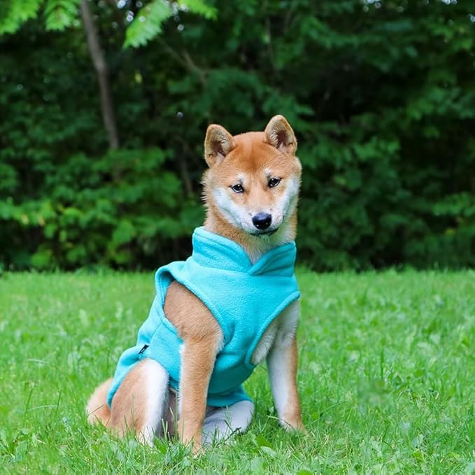 JACKO & CO - Fleece Vest Dog Sweater with Leash Ring - Soft, Warm & Lightweight Pullover Coat for Small & Medium Dogs, Puppies & Cats - Cozy Fall/Winter/Spring Pet Jacket (Turquoise, Small 4-6lbs)
