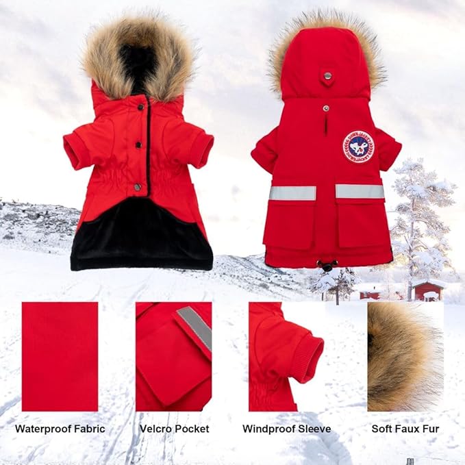PINA Small Dog Coats - Waterproof, Warm Winter Jacket with Faux Fur Hood & Pocket