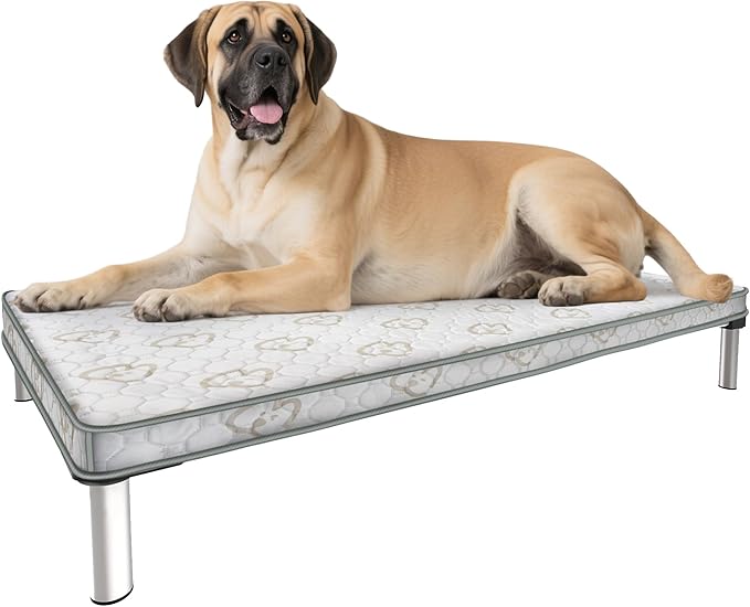 FXW TitanNest Chew-Proof Elevated Dog Bed, Raised Cot for Indoor/Outdoor/Camping Use, Durable & Waterproof Cooling Pet Bed with Exclusive Cover for Extra Large Dogs, 56.0" L x 31.0" W x 7.3" H, Black