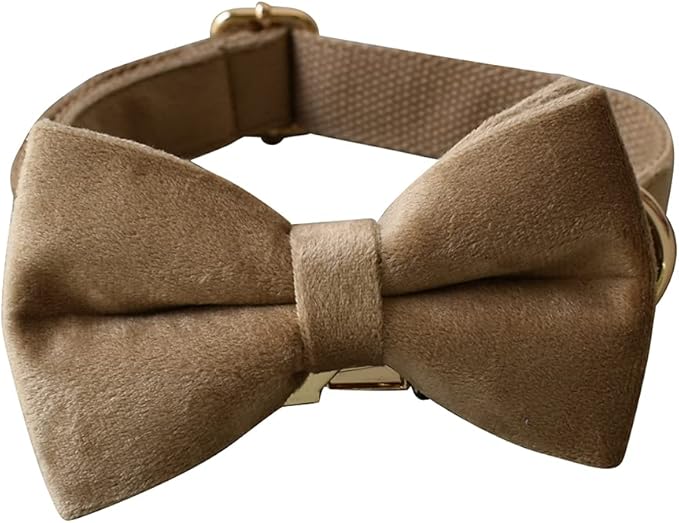 Dog Collar Custom Personalized Engraved Name and Phone Number for Puppy Small Medium Large Pets (M, Khaki)