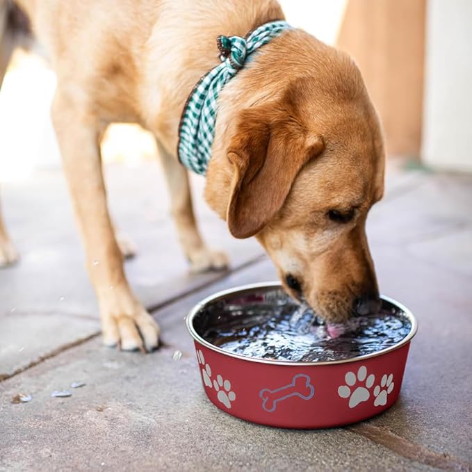 Loving Pets Bella Dog Bowls- Stainless Steel Dog & Cat Bowls - Spill Proof Dog Food Bowl, Cat Bowl, Puppy Essentials & Pet Supplies Great for Home & Travel (Medium 20-35 lbs, Merlot)