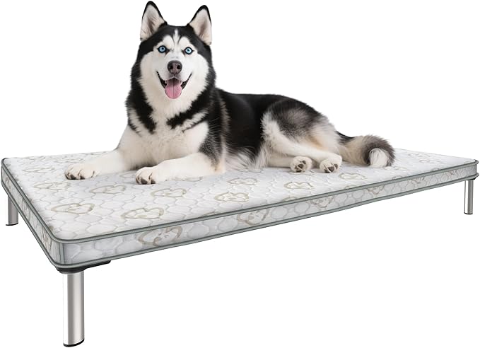 FXW TitanNest Chew-Proof Elevated Dog Bed, Raised Cot for Indoor/Outdoor/Camping Use, Durable & Waterproof Cooling Pet Bed with Exclusive Cover for Medium Dogs, 42.0" L x 27.0" W x 5.0" H, Black
