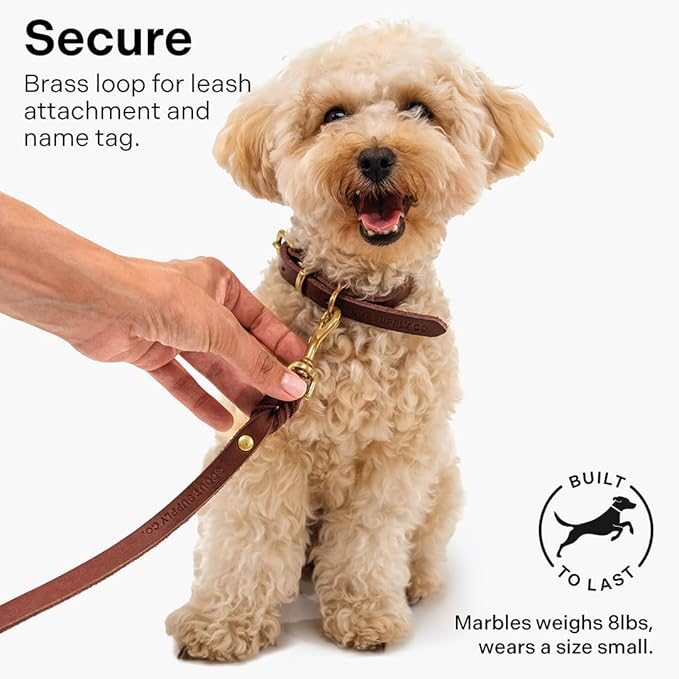 Classic Genuine Leather Dog Collar | Dog Collars for Medium Dogs, Small Dogs, Large Dogs & Extra Large Dog | Wide Dog Collar | Heavy Duty Dog Collar | Dark Brown (M: 0.8" Wide for 13.5"-16" Neck)