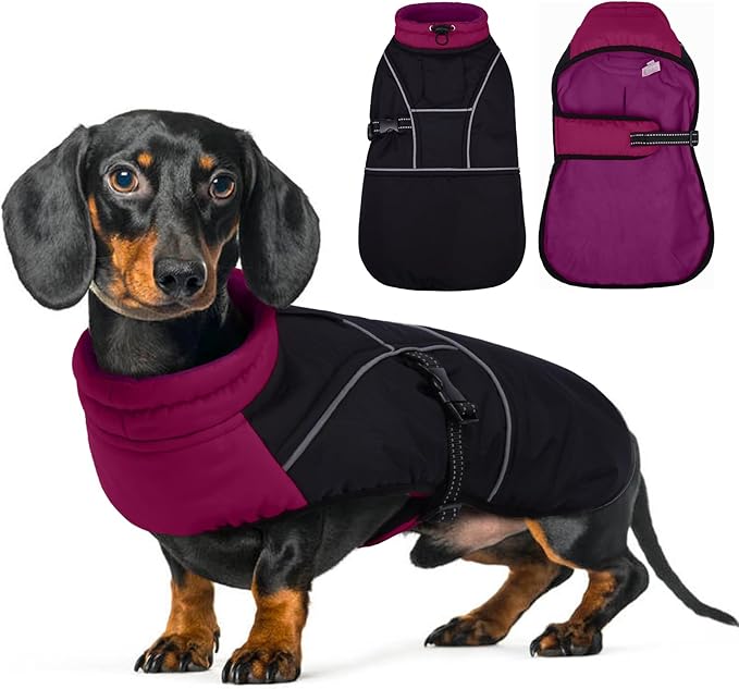Lelepet Dachshund Coat Warm Dog Winter Coat Waterproof Dog Jacket with Fleece Lining, Reflective Outdoor Dachshund Snowsuit with Leash Hole Adjustable Neckline,Coats for Small Medium Dogs,Purple, S