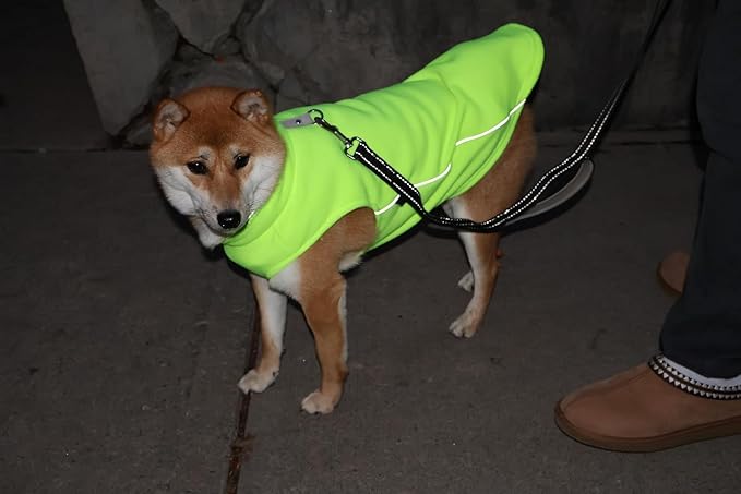 JACKO & CO - Fleece Vest Dog Sweater with Leash Ring - Soft, Warm & Lightweight Pullover Coat for Small & Medium Dogs, Puppies & Cats - Cozy Fall/Winter/Spring Pet Jacket (Lime Green, Small 4-6lbs)