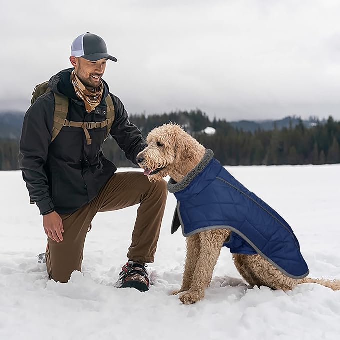 Fragralley Dog Coat Medium, Waterproof Dog Jacket with Warm Fleece Lining, Adjustable Reflective Dogs Winter Coat, Turtleneck Pet Coats for Cold Weather (Blue M)