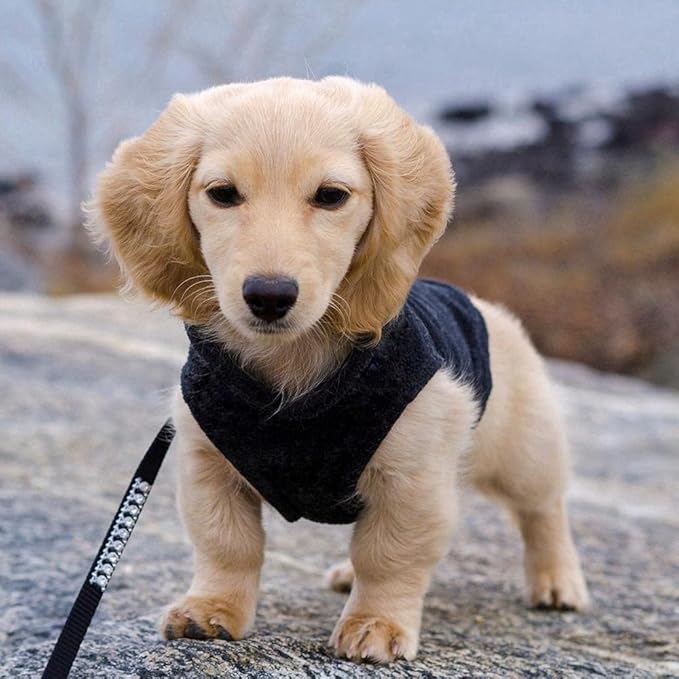 Gooby Fleece Vest Dog Sweater - Black, Medium - Warm Pullover Fleece Dog Jacket with O-Ring Leash for Small to Medium Dogs