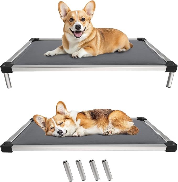 FXW TitanNest Chew-Proof Elevated Dog Bed, Raised Cot for Indoor/Outdoor/Camping Use, Durable & Washable Padded Pet Bed for Medium Dogs, 41.0" L x 27.0" W x 5.0" H, Gray