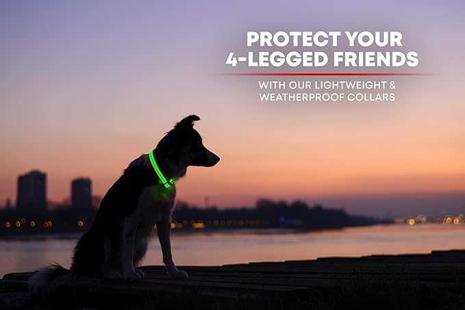 ILLUMISEEN LED Dog Collar USB Rechargeable - Bright & High Visibility Lighted Glow Collar for Pet Night Walking - Weatherproof, in 6 Colors & 6 Sizes (Green X-Large)