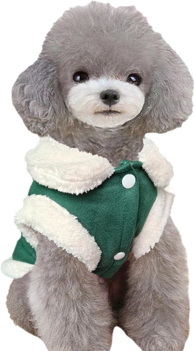Jecikelon Bowtie Dog Cold Weather Coat Fleece Lining Warm Pet Puppy Turtleneck Dogs Winter Clothes for Small Dogs with D-Ring (Green, X-Small)