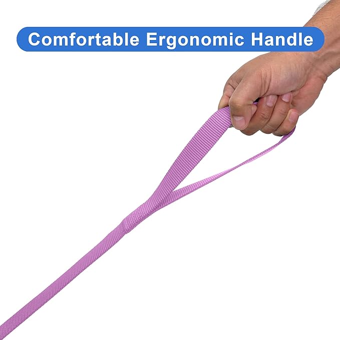 Pawtitas 6 FT Solid Color Orchid Dog Leash - Comfortable Handle, Medium/Large, 6 ft