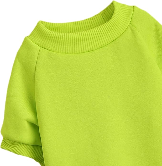 Puppy Sweater for Small Dogs Clothes Warm Winter Cat Clothe Pet Sweatshirt Knitwear Doggie Kitten Clothing, Light Green, X-Small