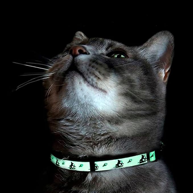 Pawtitas Halloween Cat Collars for Cats Adjustable Collar Glow in The Dark Feature and Safety Breakaway Buckle and Removable Bell to Match Your Halloween Cat's Costume - Orange Pumpkins Pattern