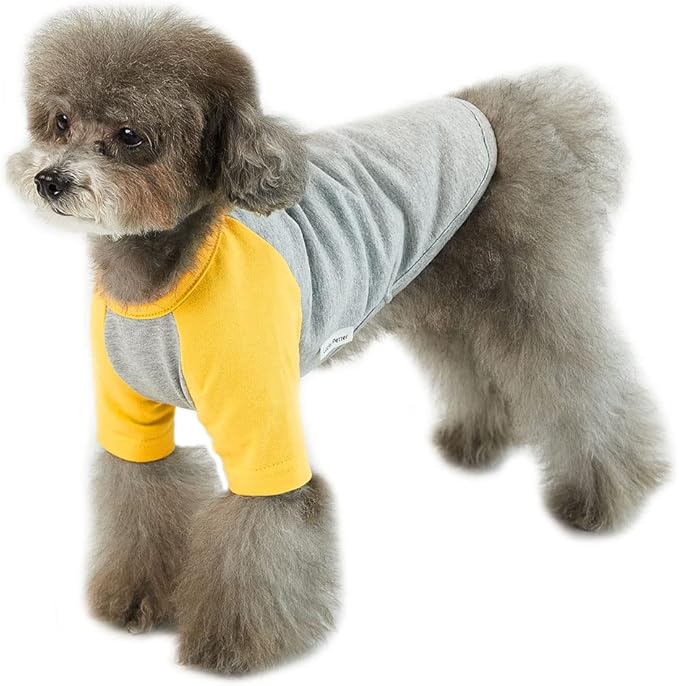 Dog Shirt for Small and Large Dogs - Cotton T-Shirt - Gray/Yellow - Medium