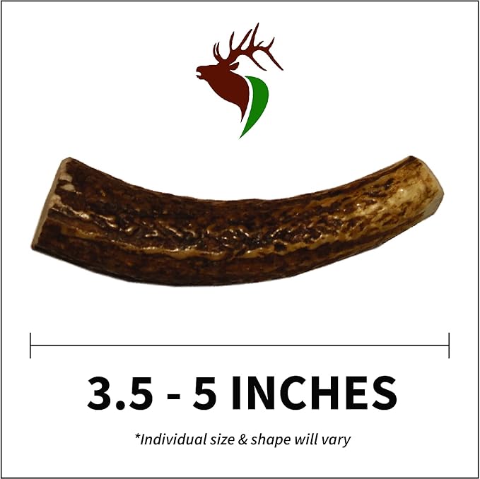 X Small Whole 5 Pack (for 0-15 lb Dogs and Puppies) Premium Grade Elk Antlers for Dogs (5 Pieces) Sourced in The USA