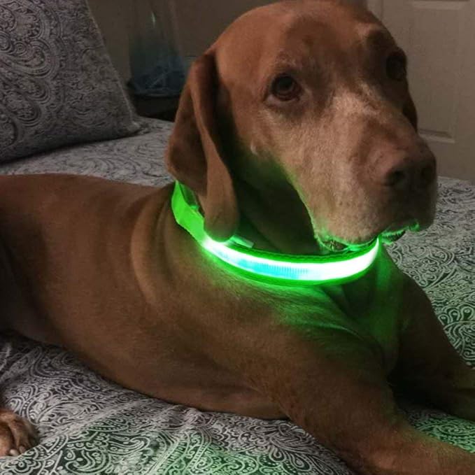 MASBRILL LED Dog Collar - Light Up Dog Collars Rechargeable - Waterproof Night Walking Glowing Dog Collar for Small, Medium, Large Dogs