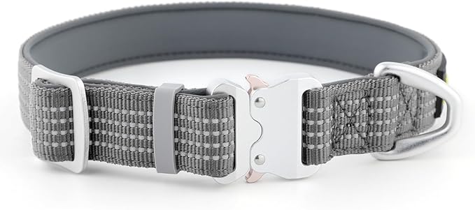 Plutus Pet Reflective Dog Collar with Aviation Aluminum Buckle, Neoprene Padded for Comfort, Lightweight, Heavy Duty Nylon Collar for Puppy Small Medium Large Dogs (Gray, L)
