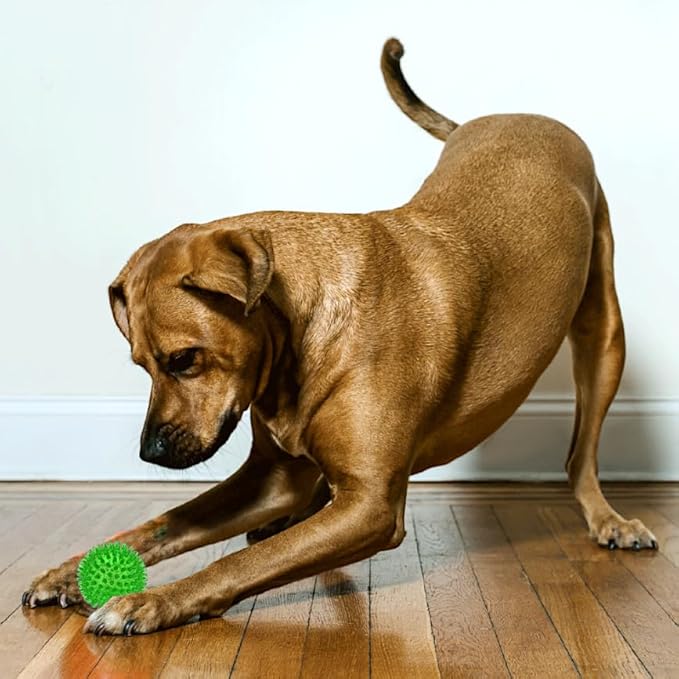 Cutie's PetBox Squeaky Rubber Spike Toy Ball for Small Dogs (2.5 Inch, Green)