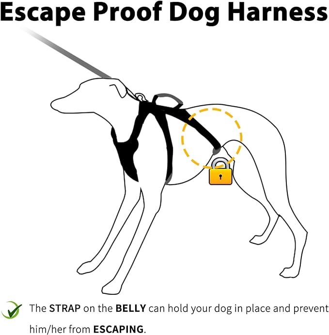 Huntboo Escape Proof Dog Harness, Secure Dog Harness No Escape,Fully Reflective Harness with Handle,Breathable,Durable,Adjustable Vest for Small Dogs Walking,Training & Running Gear(Lavender Purple,S)