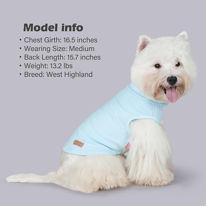 KYEESE 2Pack Dog Sweater Stretchy Dogs Clothes Soft Dachshund Clothes Warm Pets Coats Dog Sweaters for Small Dogs Male Turtleneck Small Pets Sweaters Pullover Pet Sweatshirt