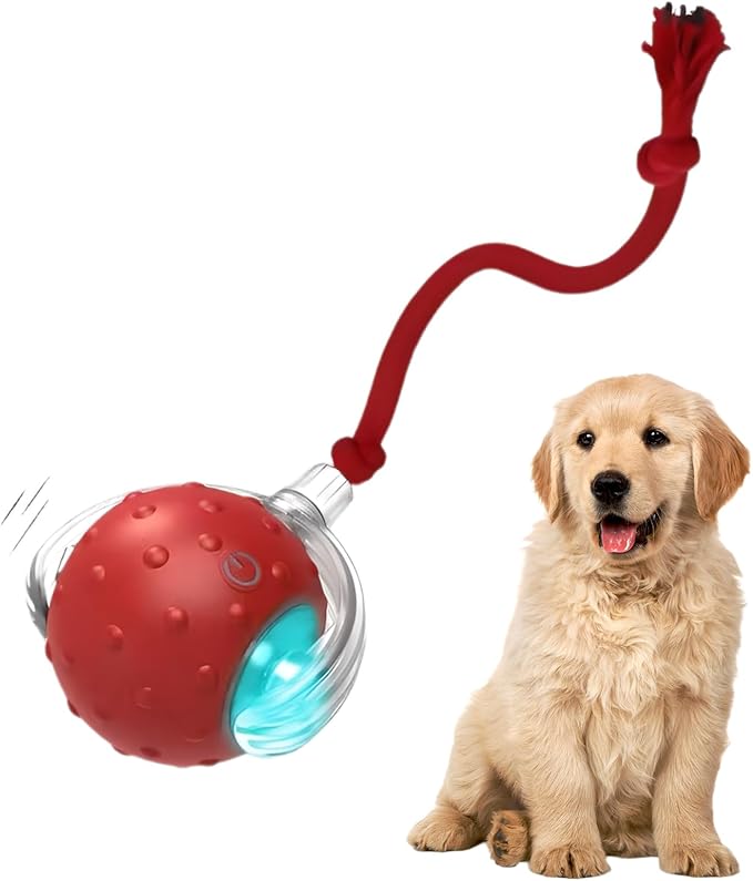 Tiny Fetch Dog Toy - Interactive Dog Toys, 360°Smart Automatic Rolling Electric Dogs Ball Toy with Birdsong, Automatic Obstacle Avoidance, Rechargeable, Boredom Relief for Dogs & Cats (Red*1 PC)