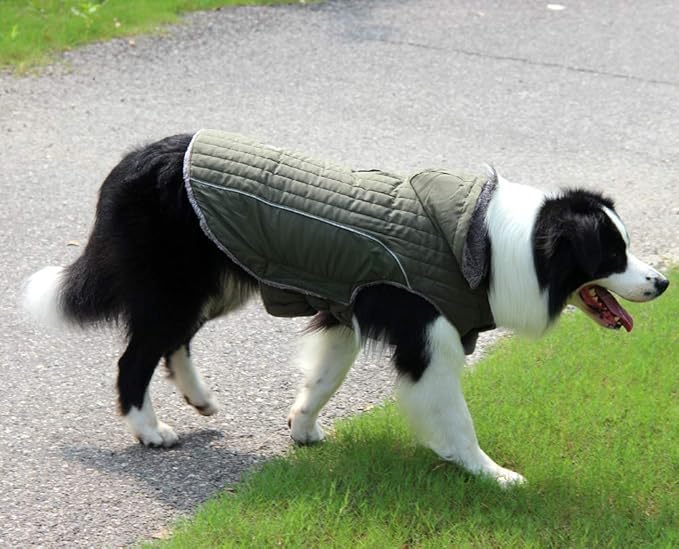 Fleece Dog Hoodie for Small Medium Dogs Super Warm Puppy Jacket for Cold Winter Dog Coats,Green M