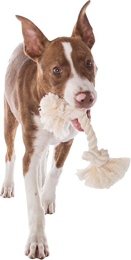 Mammoth Pet Products Dog,Flossy Chews 100-Percent Cotton White Rope Bone, Large, 14-Inch (10006V)